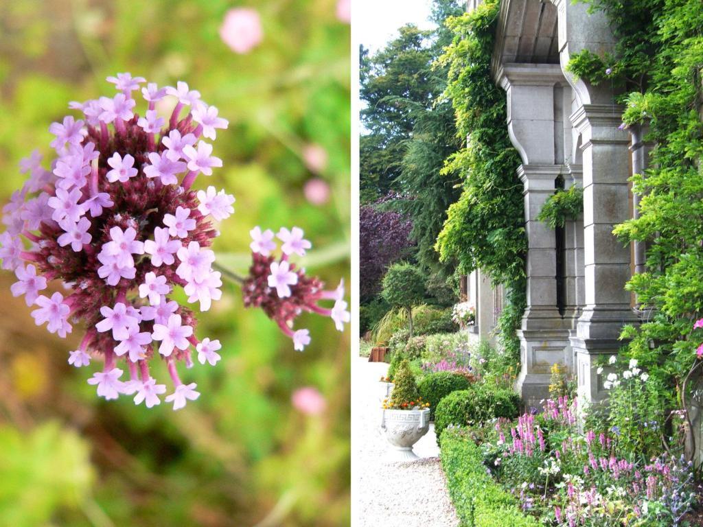 Tinakilly Country House Hotel Rathnew Extérieur photo